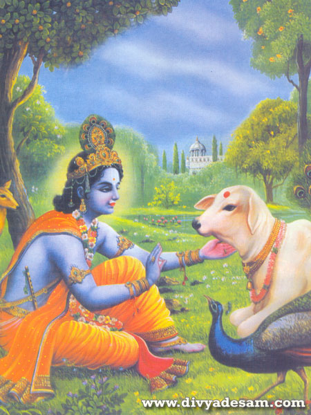 Sri Krishna and Calf
