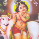 Sri Venugopalan
