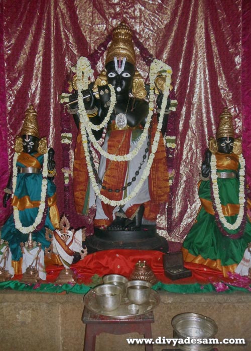 Sri Venugopalan - Moolavar, Pushkar Temple