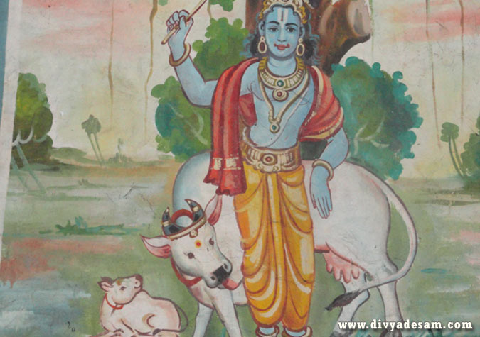 Sri Krishna along with Cow and Calf