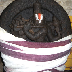 Sri Venugopalan, Appakkudathan Temple