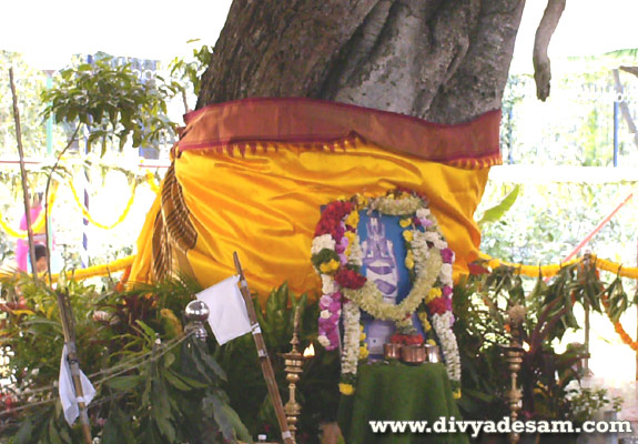Swamy Ananthazhwan in the form of tree