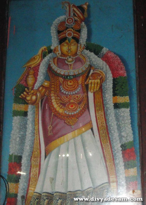 Sri Andal, Mannarkudi Temple