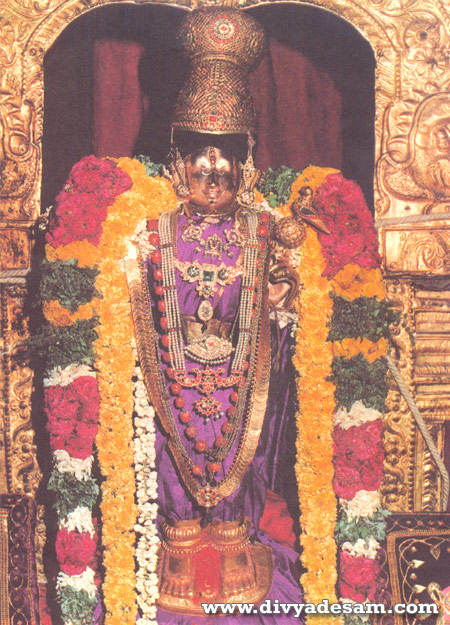 Kodhai - Sri Andal - Srivilliputtur