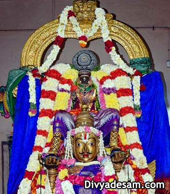 Sri Parthasarathy Temple - Garuda Sevai