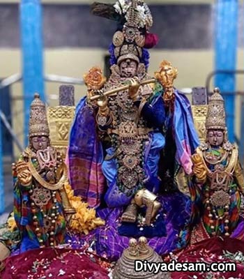 Sri Kanchi Varadarajar - Venugopalan Thirukolam, Kanchipuram