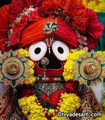 Shri Jagannath Temple, Puri - Form of Sri Krishnar