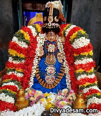 Sri Perundevi Thayar - Aminjikarai, Chennai