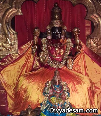 Sri Yadhugiri Thayar - Melkote, Tirunarayanapuram