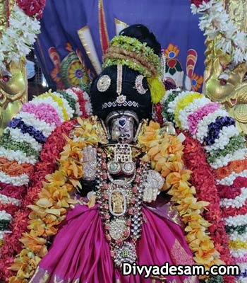 Sri Mayuravalli Thayar - Mylapore, Chennai