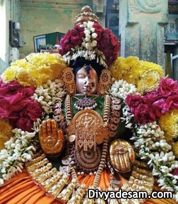 Sri Loganayaki Thayar - Seerkazhi