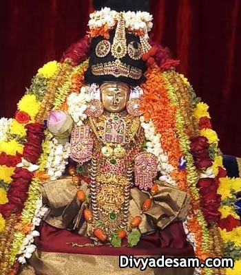 Sri Amruthavalli Thayar - Selaiyur, Ahobila mutt