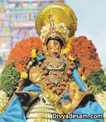 Sri Varamangai Thayar - Vanamamalai