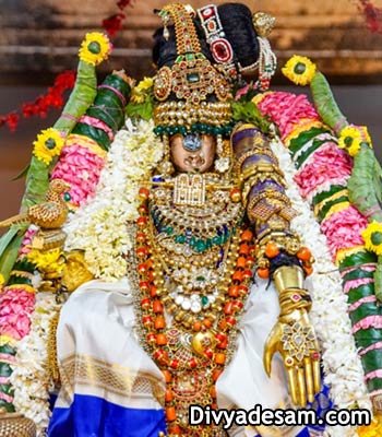 Sri Ranganayaki Thayar - Sri Rangam Divyadesam
