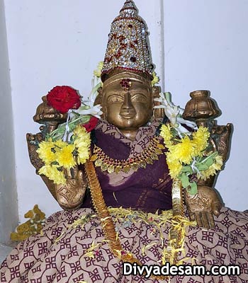 Sri Varamangai Thayar - Vanamamalai