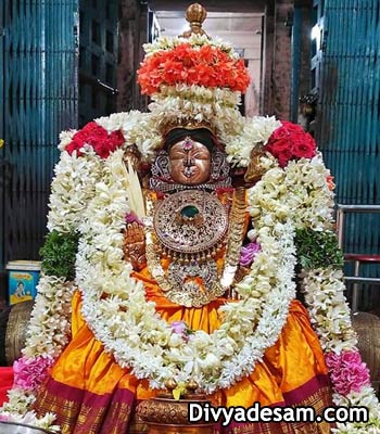 Sri Hemabujavalli Thayar - Thiruvahindrapuram