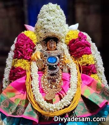 Sri Varamangai Thayar - Vanamamalai