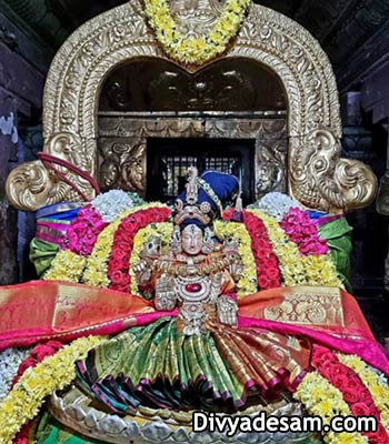 Sri Parimala Ranganayaki Thayar - TiruIndhaloor