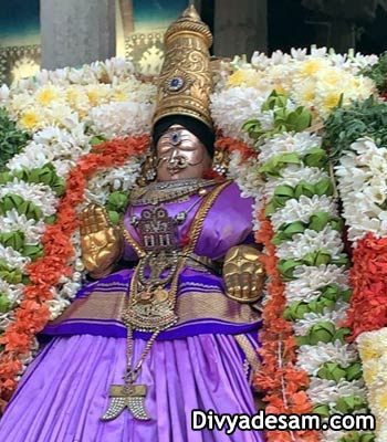 Sri Nilamangai Thayar - Tiruneermalai