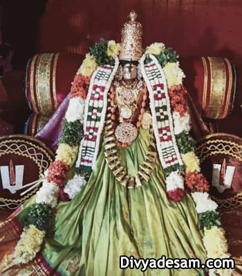 Sri Varamangai Thayar - Vanamamalai
